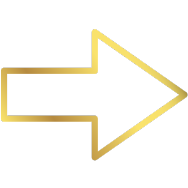 Pfeil Gold leer